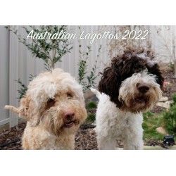 Australian Lagotto Calendar...